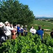 Journée Escapade vigneronne depuis Lyon (69)