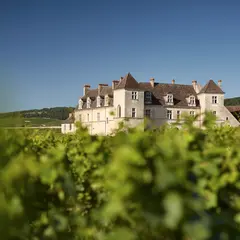 Journée Européenne du Patrimoine au Château du Clos de Vougeot