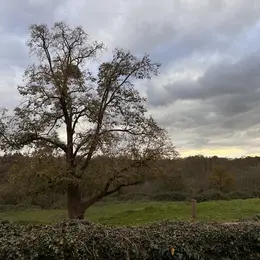 Journée européennes du patrimoine à Sepvret - ça coule de Source !