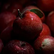 Journée Greffage De Pommier