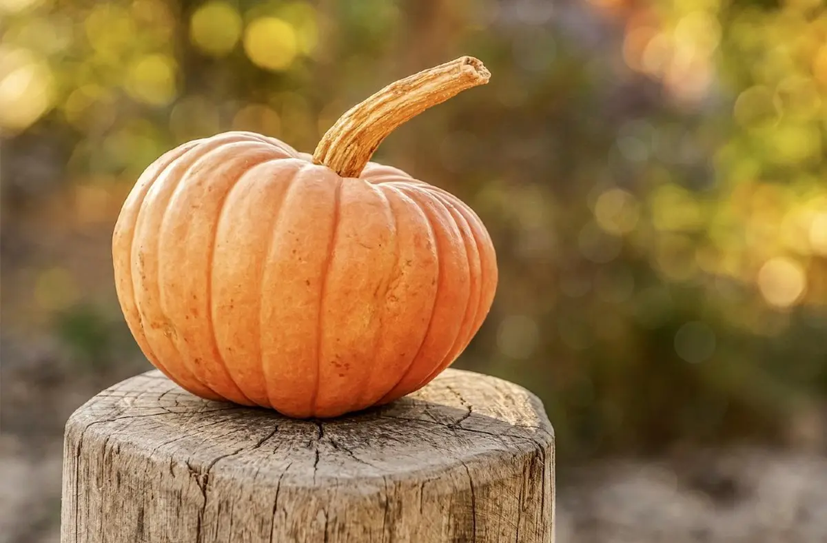 Journée Halloween