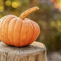 Journée Halloween