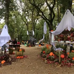 Journée Halloween au Parc animalier de Gramat