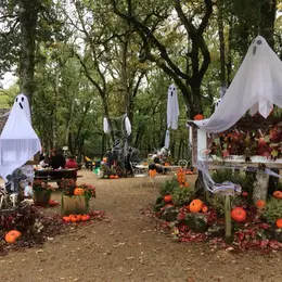 Journée Halloween au Parc animalier de Gramat