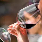 Journée initiation à la dégustation à Rennes (35)