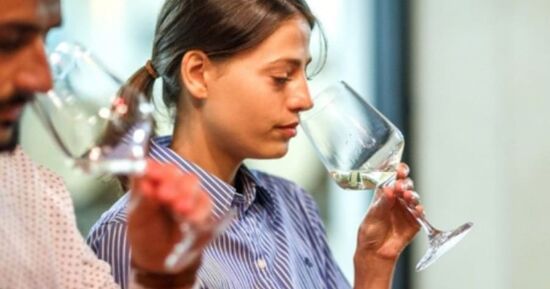 Journ&eacute;e initiation & apprentissage des vins &agrave; Amiens