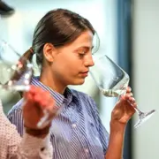 Journée initiation & apprentissage des vins à Bordeaux