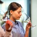 Journ&eacute;e initiation & apprentissage des vins &agrave; Montpellier
