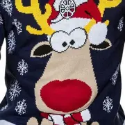 Journée internationale des pulls de noël