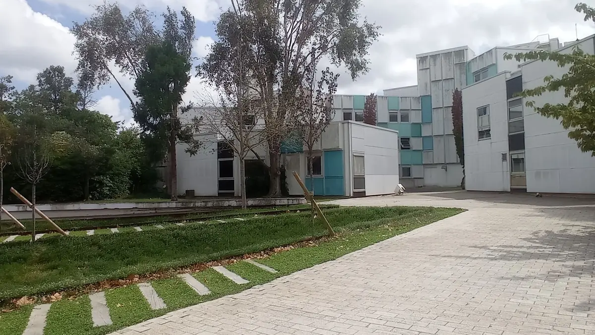 Journée internationale pour l'élimination des violences à l'égard des femmes