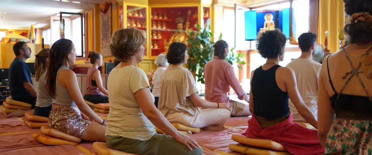 Journée Méditation - Entrée Gratuite