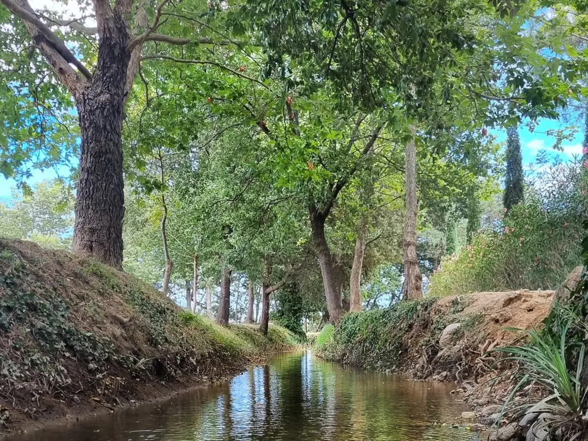 Journée Mondiale De L’eau : Visite Las Canals, Un Canal Royal