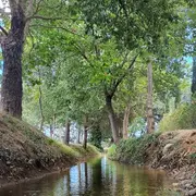 Journée Mondiale De L’eau : Visite Las Canals, Un Canal Royal