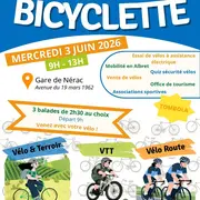 Journée mondiale de la bicyclette.