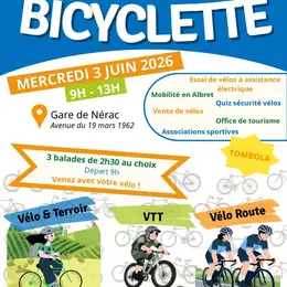 Journée mondiale de la bicyclette.