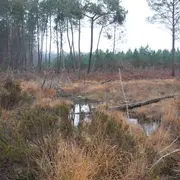 Journée mondiale des Zones Humides