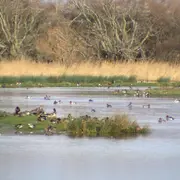 Journée mondiale des zones humides