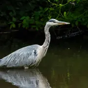 Journée mondiale des Zones Humides