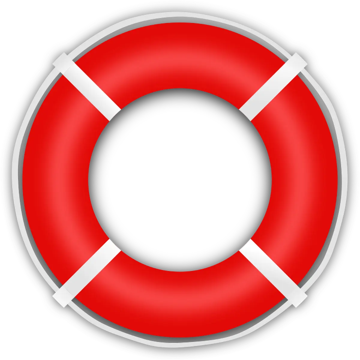 Journée nationale du sauvetage