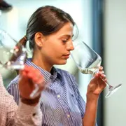 Journée œnologie, repas & dégustation au domaine Cazes (66)