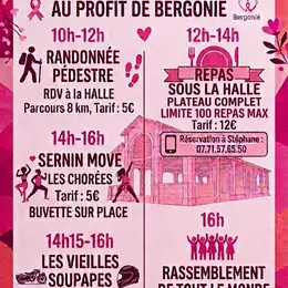 Journée Octobre Rose à Saint Sernin au profit de l'institut Bergonié