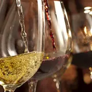 Journée oenologie, initiation à la dégustation à Paris