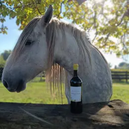 Journée Oenotourisme au Vignoble Au Pas du Cheval