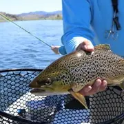 Journée pêche à la truite