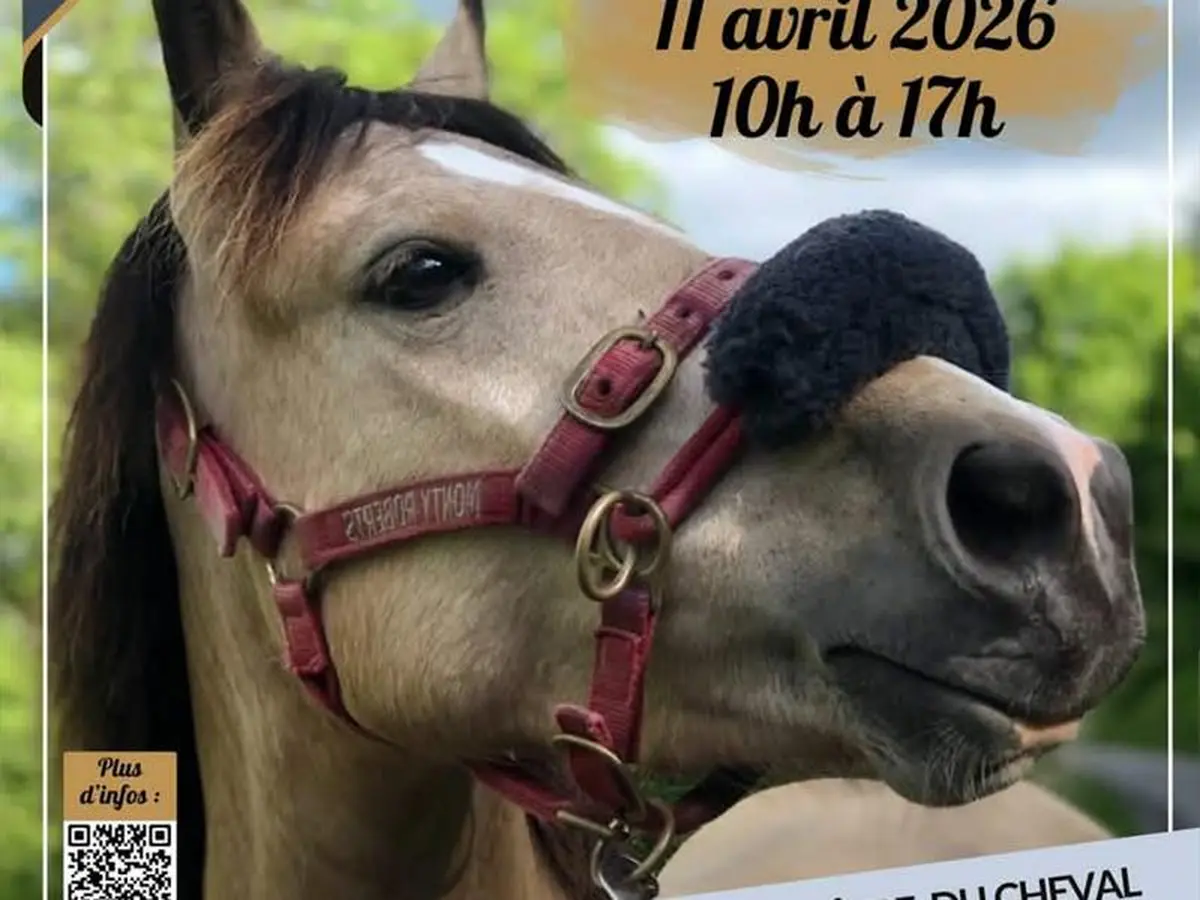 Journée portes ouvertes - Crins des Vosges