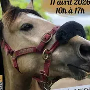 Journée portes ouvertes - Crins des Vosges