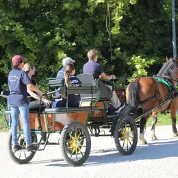 Journée Portes ouvertes des Écuries de la Béchère au centre équestre de  Romilly sur Seine