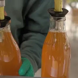 Journée Pressage Jus de Pommes et Poires