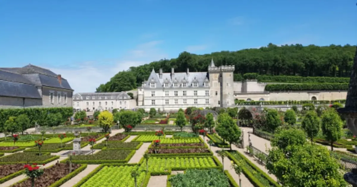 Journée privative châteaux et dégustation en  Val-de-Loire