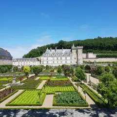 Journée privative châteaux et dégustation en  Val-de-Loire