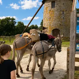 Journée rando-âne au cœur du Bocage : patrimoine et saveurs du terroir