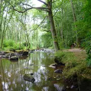 Journée randonnée à Saint-Ouen des Besaces