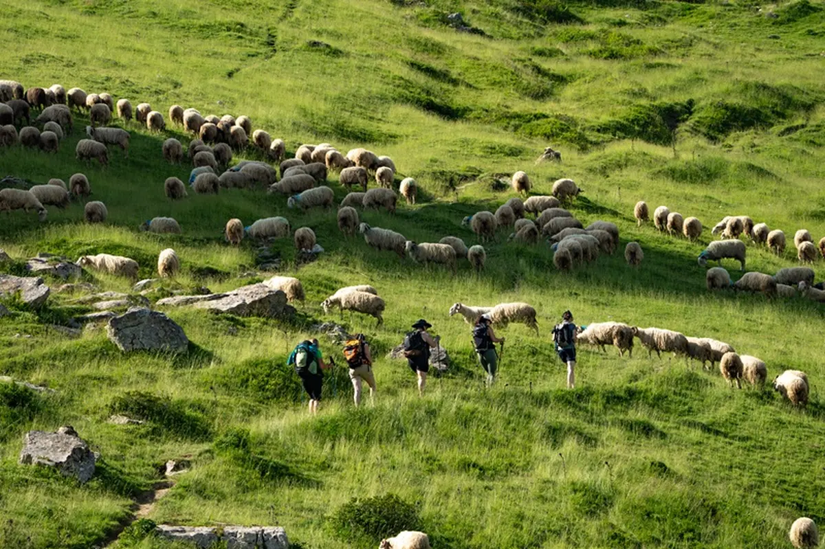 Journée randonnée en montagne au féminin