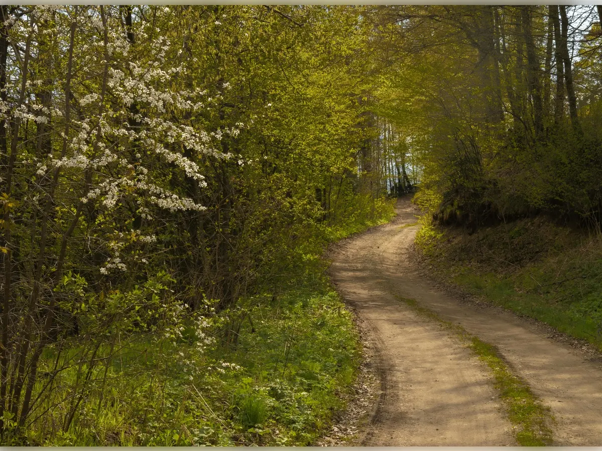 Journée randonnée pédestre