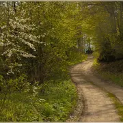 Journée randonnée pédestre