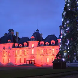 Journée spéciale Noël au Château de Cheverny
