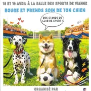 Journée sportive pour chiens et leurs maîtres