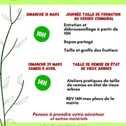 Journée taille de vieux arbres