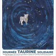 Journée taurine solidaire Un toro pour un rêve d'enfant