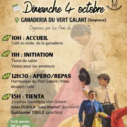 Journée tauromachie espagnole