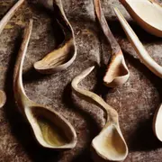 Journée Tournage & sculpture sur bois en Chartreuse (73)