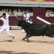 Journée traditionnelle du Toro club Istréen