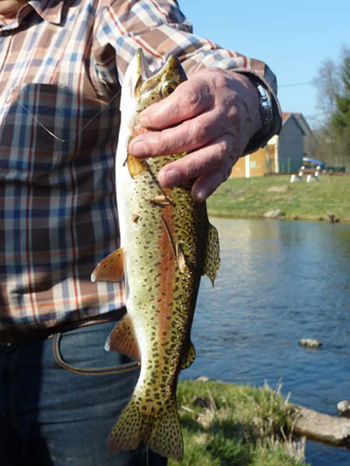 Journée truite a l'étang de Mignavillers