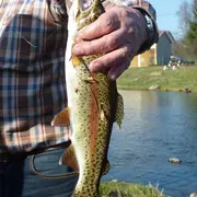 Journée truite a l'étang de Mignavillers
