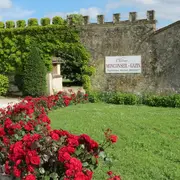 Journée vendanges au château Monconseil Gazin en Blaye Côtes de Bordeaux