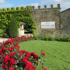 Journée vendanges au château Monconseil Gazin en Blaye Côtes de Bordeaux
